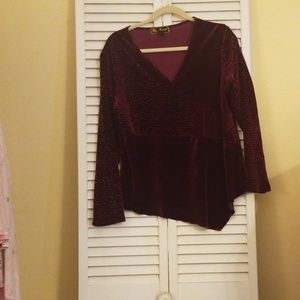 Women's Velvet like V Neck Top